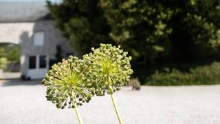 la cour de la ferme château à Dourbes 