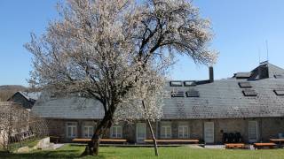 Dourbes, jardin au printemps