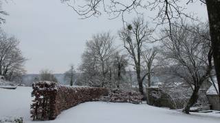 Dourbes , neige dans le jardin