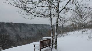 Dourbes , neige dans le jardin