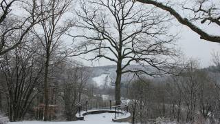 Dourbes , neige dans le jardin