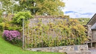  Dourbes, l'ancienne serre peut faire partie du décor de mariage