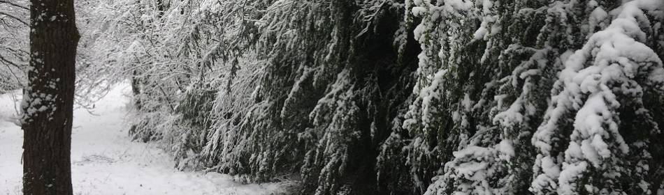 Balade sous la neige