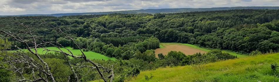 Roche à Lomme (Dourbes) 