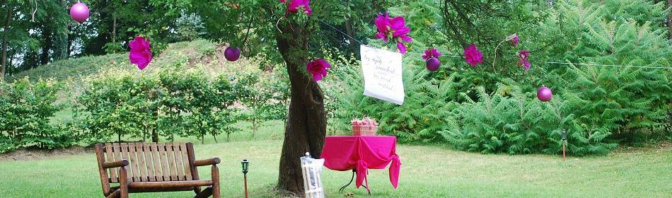 Gîte mariage Ardennes