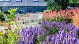  Dourbes :de tuin eind juni