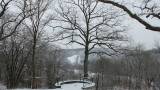  Dourbes :wandelen in de sneeuw