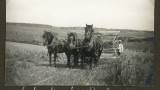 Dourbes,  machine agricole