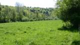 Terrain pour camp scouts à DOURBES, Viroinval,  Près de l’église