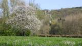 Dourbes, jardin au printemps