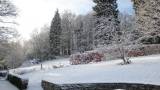  Dourbes :De tuin onder de sneeuw