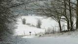 paysages autour du gite sous la neige