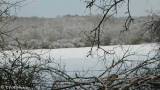 paysages autour du gite sous la neige