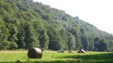 Terrain pour camp scouts à DOURBES, Viroinval,  Près de l’église