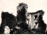 Dourbes, ruines de Haute Roche (fin des années 1950's)