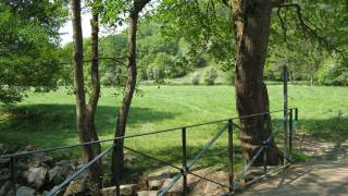 Kampeerterrein "Pont Baugnies"in DOURBES 