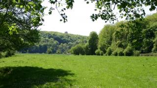 kampeerterrein voor scouts "Haute Roche"in DOURBES 