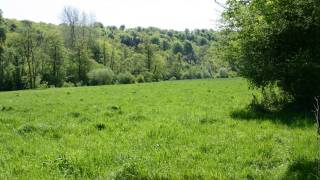 Kampeerterrein voor scouts "Près de l'Eglise" in DOURBES 