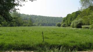 Kampeerterrein voor scouts "Près de l'Eglise"in DOURBES 